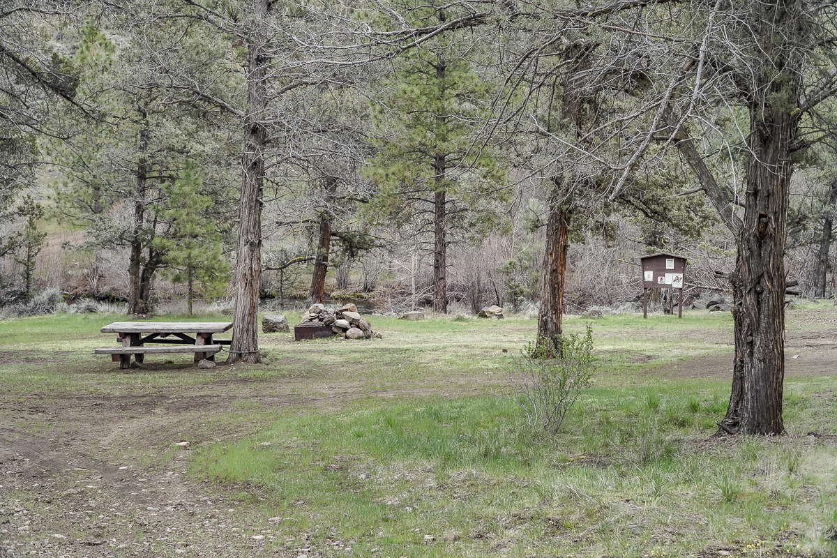 Alder Springs