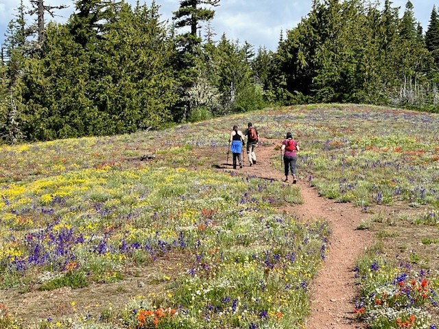 Iron Mountain